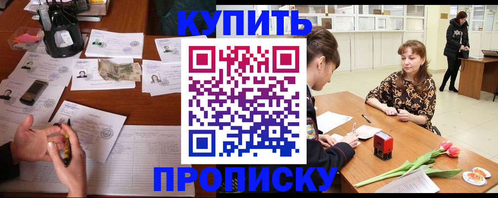 купить прописку в Сольцах